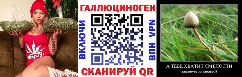где купить   Верхотурье  Псилоцибиновые грибы ЛСД 